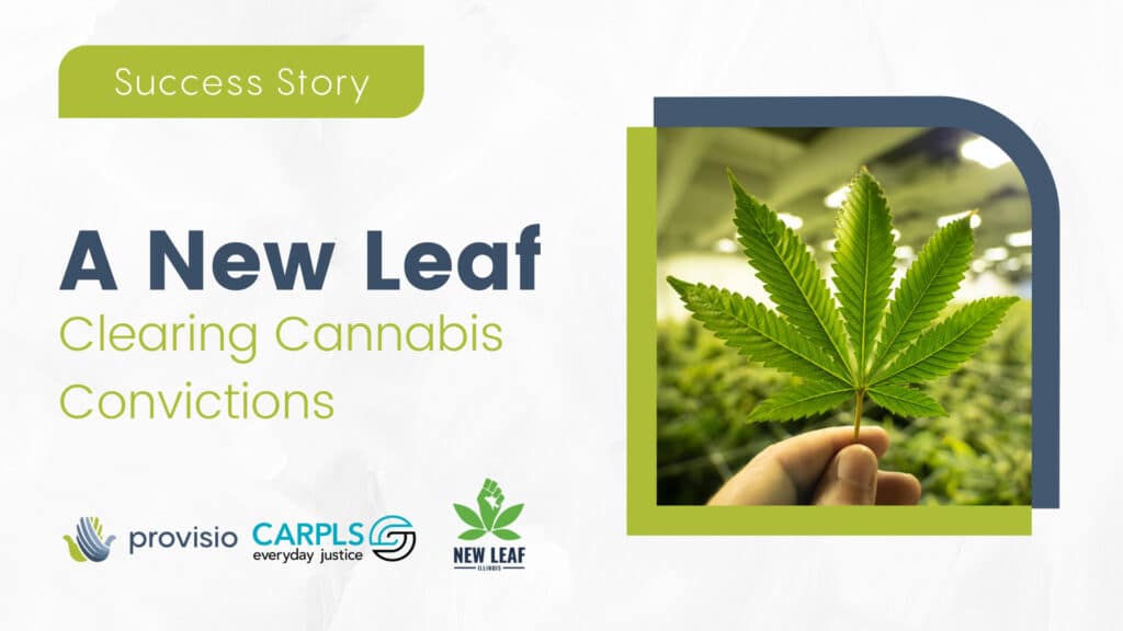 Success Story, A New Leaf, Clearing Cannabis Convictions, Logos: Provisio, CARPLS, A New Leaf, Hand holding a cannabis leaf in a grow house